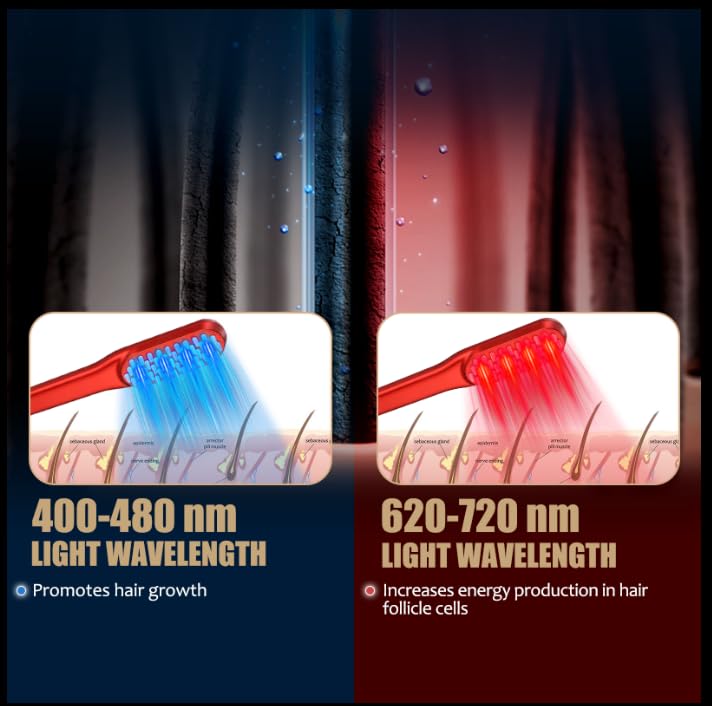 Laser Hair Growth Comb, Red Li - Industrial Laser Beam 评论和价格